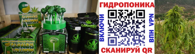 omg ONION  закладки  Дагестанские Огни  Cannafood марихуана 