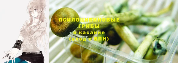 прущая мука Богданович
