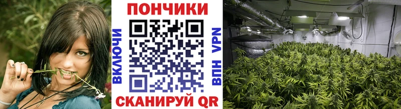MEGA ссылка Дагестанские Огни Бошки марихуана LSD WEED